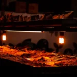 Tips dan Rahasia Sukses UMKM